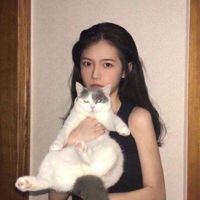 热血罗兰九游版下载